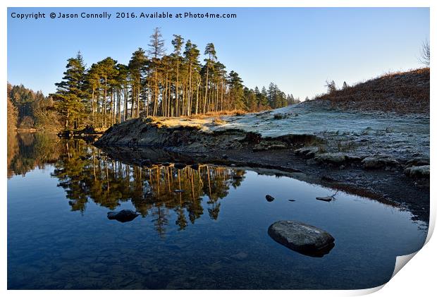 Tarn Hows Reflections Print by Jason Connolly