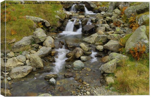 IN STEPS Canvas Print by andrew saxton