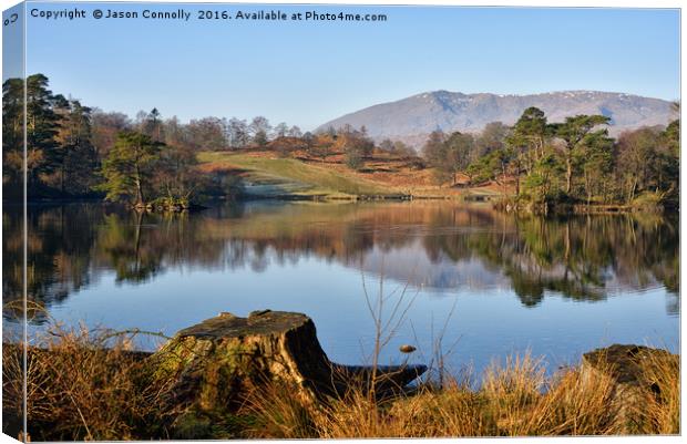 Tarn Hows, Lake District Canvas Print by Jason Connolly