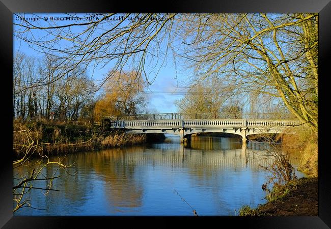 River Stour, Melford, Suffolk Framed Print by Diana Mower