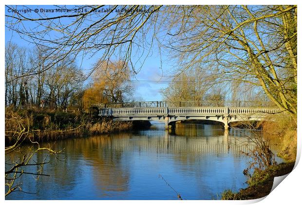 River Stour, Melford, Suffolk Print by Diana Mower