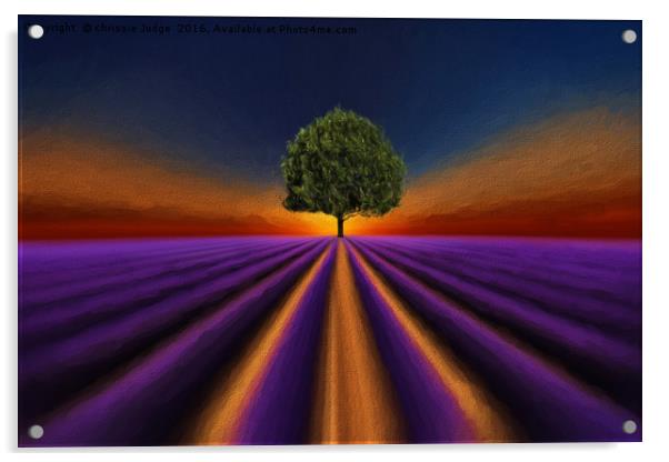 The Field  Acrylic by Heaven's Gift xxx68