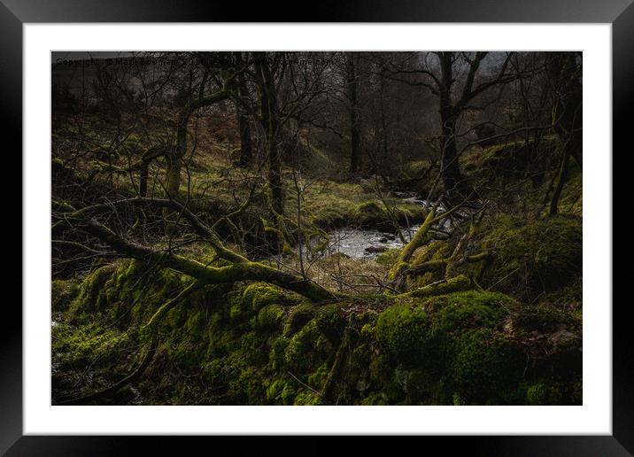 Deep in the Forest. Framed Mounted Print by Mark Bowman