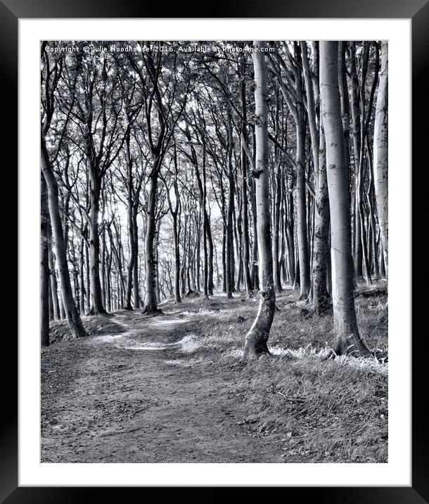 Rugen forest Framed Mounted Print by Julie Woodhouse