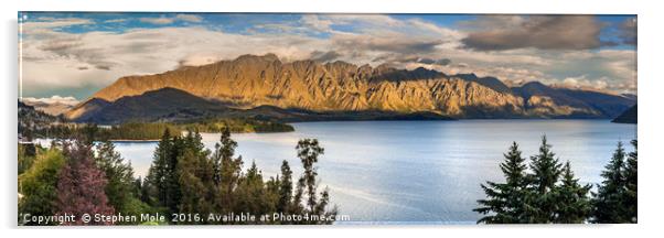 Queenstown and The Remarkables Acrylic by Stephen Mole