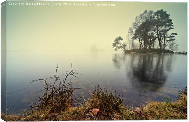 Tarn Hows Canvas Print by David Lewins (LRPS)