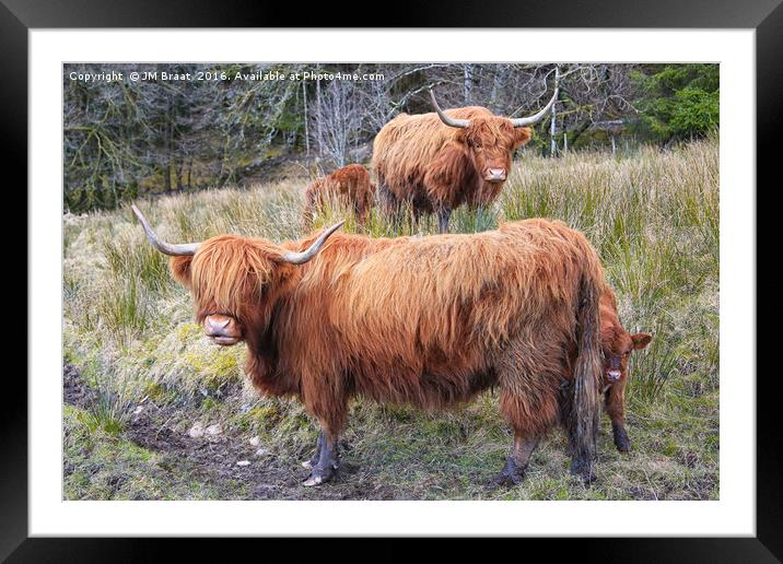 Highland Cattle Framed Mounted Print by Jane Braat