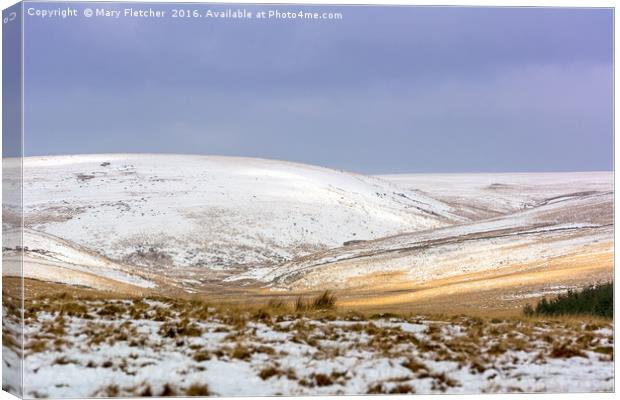 Dartmoor in the Snow Canvas Print by Mary Fletcher