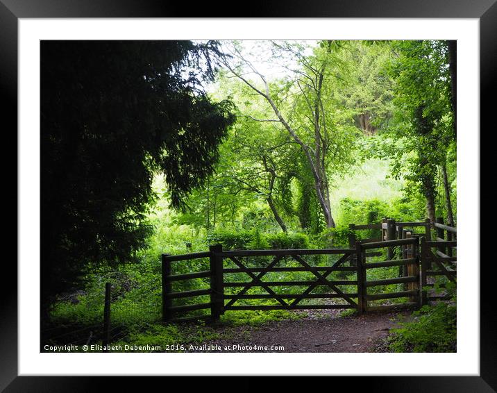 Gate to a Wildlife Haven Framed Mounted Print by Elizabeth Debenham