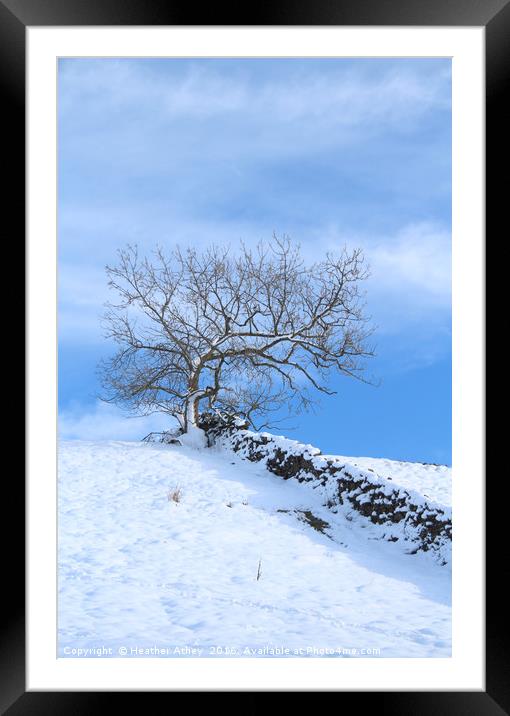Tree on the Hill Framed Mounted Print by Heather Athey
