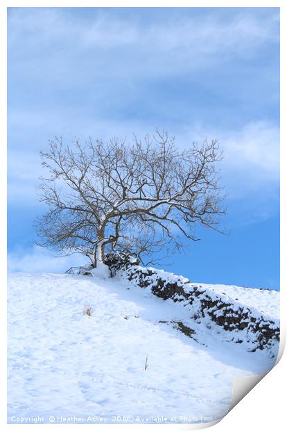 Tree on the Hill Print by Heather Athey
