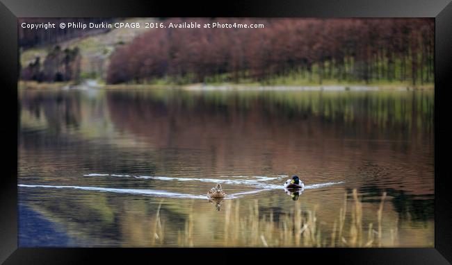 Buttermere Life Framed Print by Phil Durkin DPAGB BPE4