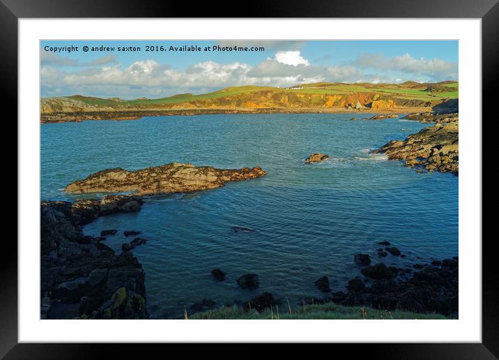 QUITE COVE Framed Mounted Print by andrew saxton