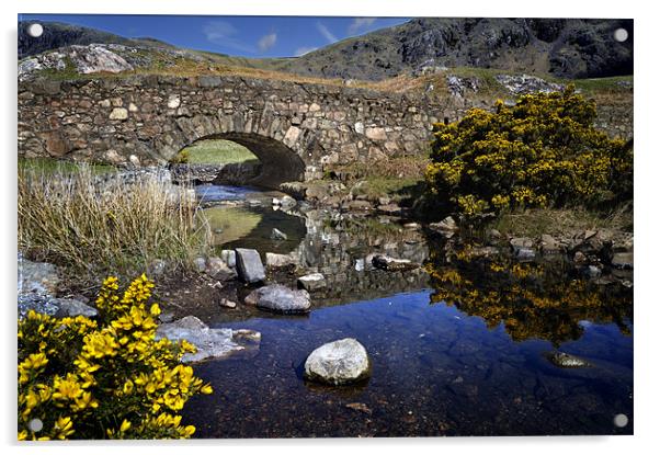Bridge, Wast Water, Lake District, England Acrylic by Stephen Mole