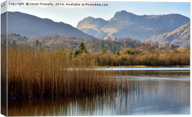 Elter Water, Cumbria Canvas Print by Jason Connolly