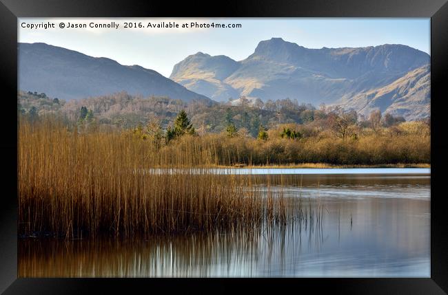 Elter Water, Cumbria Framed Print by Jason Connolly