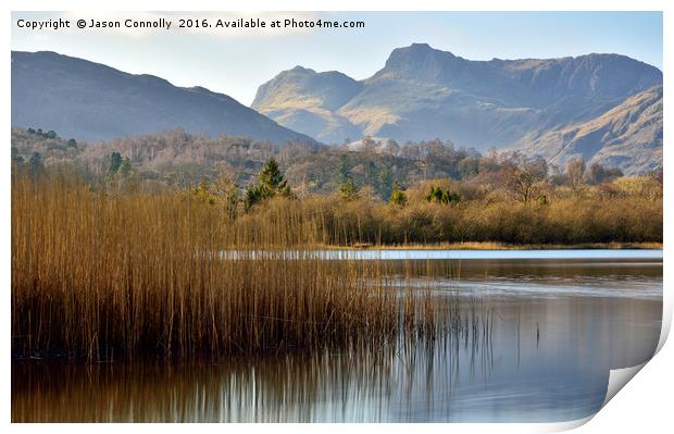 Elter Water, Cumbria Print by Jason Connolly
