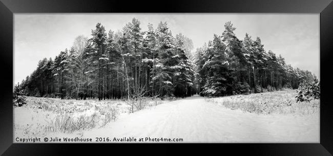 Winter forest Framed Print by Julie Woodhouse