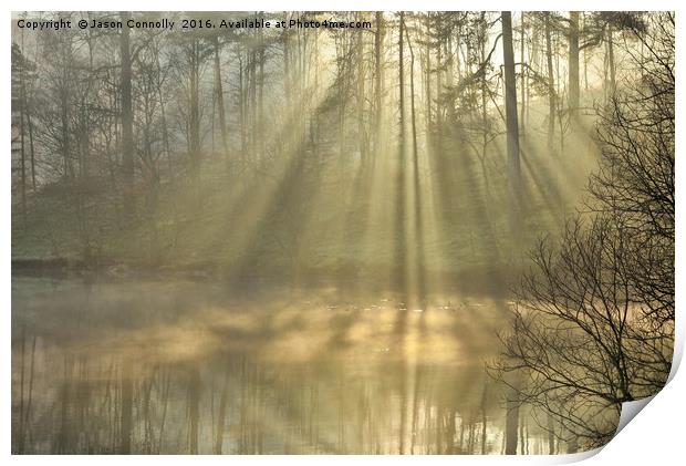 Sunrays at Tarn Hows Print by Jason Connolly