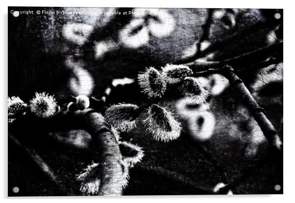 Spring Is Coming B&W Texture Acrylic by Florin Birjoveanu