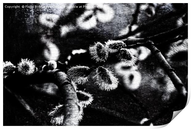 Spring Is Coming B&W Texture Print by Florin Birjoveanu