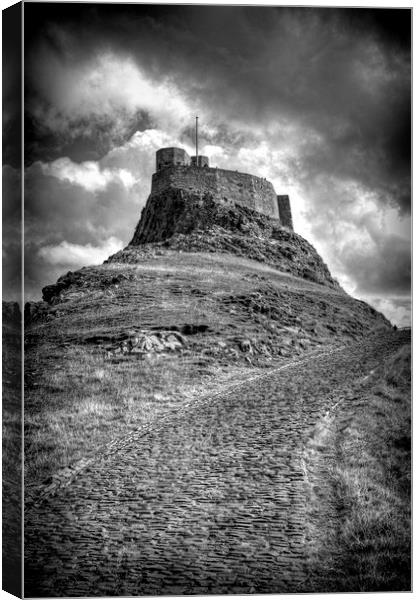 Lindisfarne Castle Approach Canvas Print by Colin Metcalf