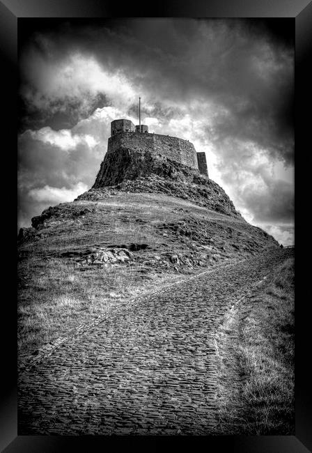 Lindisfarne Castle Approach Framed Print by Colin Metcalf