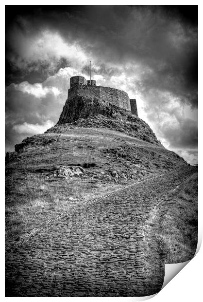 Lindisfarne Castle Approach Print by Colin Metcalf