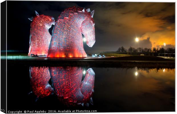 Kelpies Watching the Fire - Profile Canvas Print by Paul Appleby