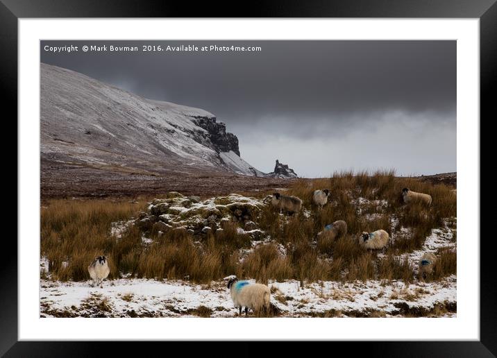Scottish Blackface sheep, Quiraing.  Framed Mounted Print by Mark Bowman