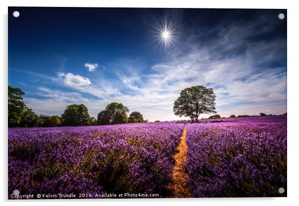 Summer Lavender Acrylic by Kelvin Trundle