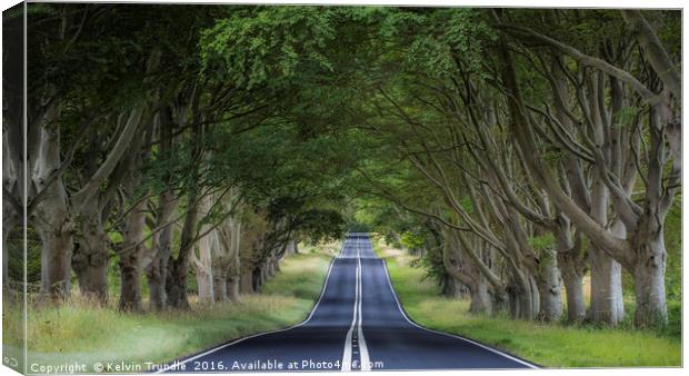 The Beech Avenue Canvas Print by Kelvin Trundle