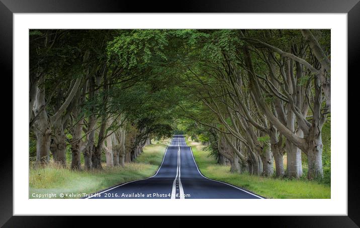 The Beech Avenue Framed Mounted Print by Kelvin Trundle