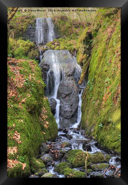 Clampit Falls Framed Print by Diana Mower