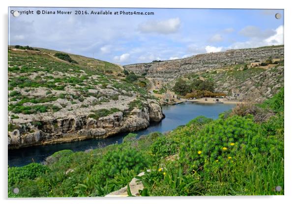 Mgarr ix-xini Bay,  Gozo Acrylic by Diana Mower