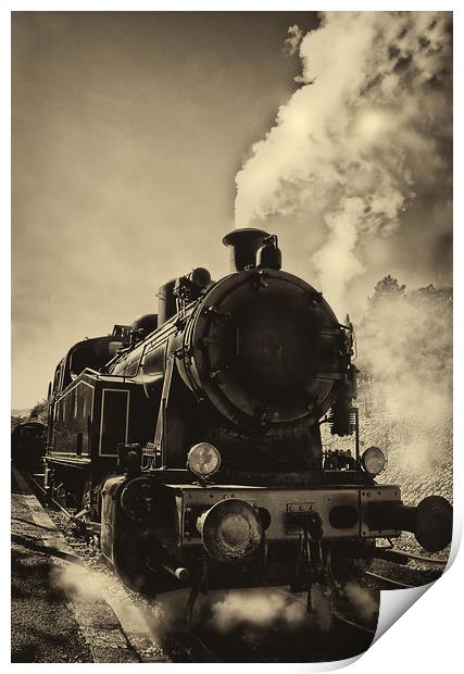 The Age of Steam Print by Jacqi Elmslie