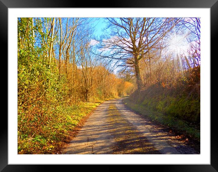 sunlit country lane Framed Mounted Print by paul ratcliffe