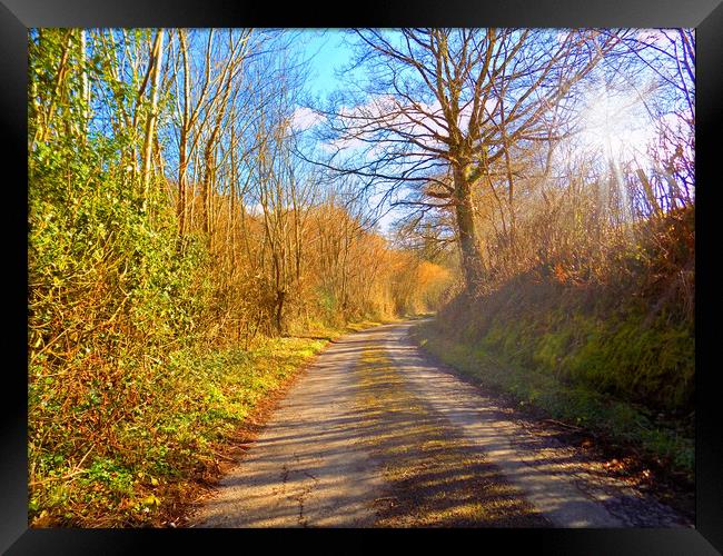 sunlit country lane Framed Print by paul ratcliffe