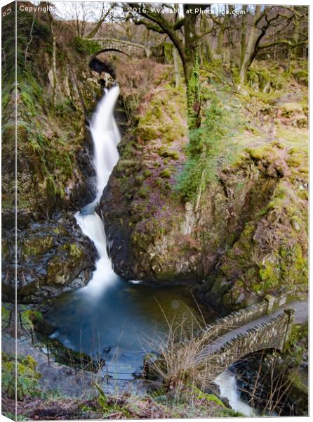 Aria Force Waterfall, Lake District Canvas Print by Paul Greenhalgh