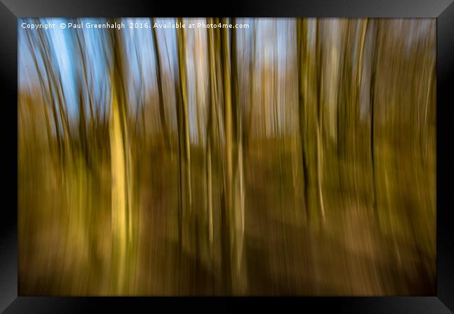 Trees in Motion Framed Print by Paul Greenhalgh