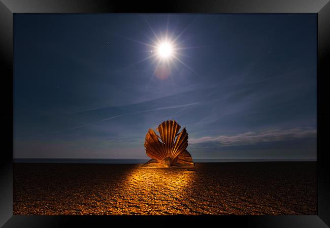 The Scallop Framed Print by Nick Rowland