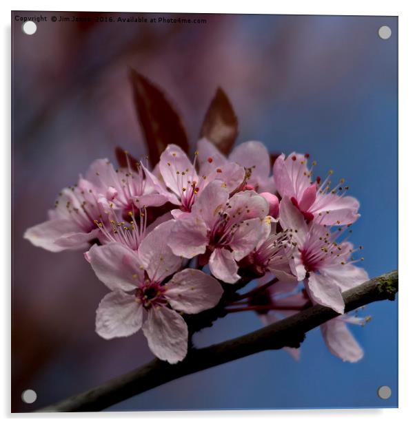 Pastel shades of Spring Acrylic by Jim Jones