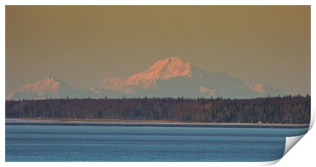 Mt. McKinley, Alaska Print by Erin Hayes