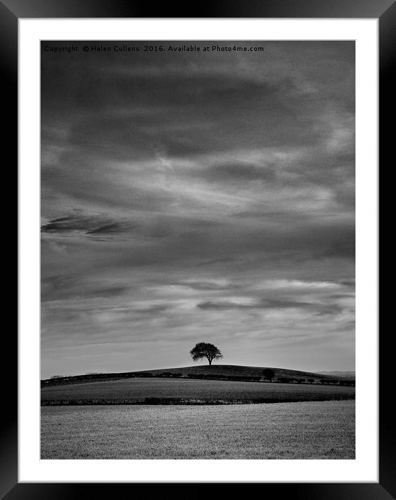 LONESOME TREE                                     Framed Mounted Print by Helen Cullens