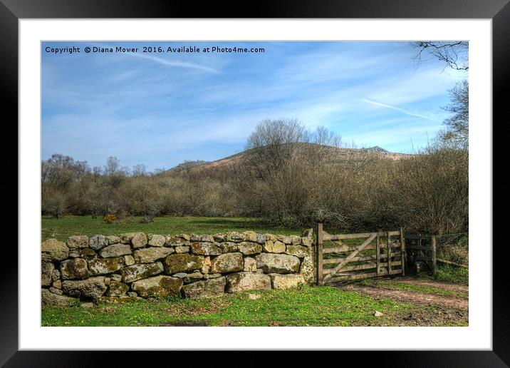 Widecombe- in-the- Moor, Dartmoor. Framed Mounted Print by Diana Mower