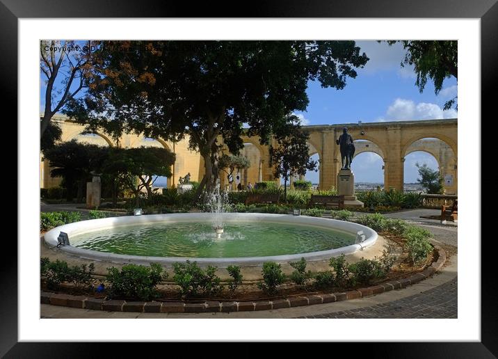Upper Barrakka Gardens, Valletta. Framed Mounted Print by Diana Mower