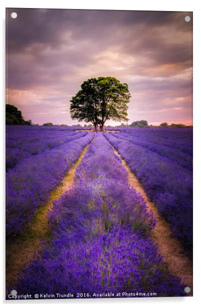 Lavender & Sunlight Acrylic by Kelvin Trundle