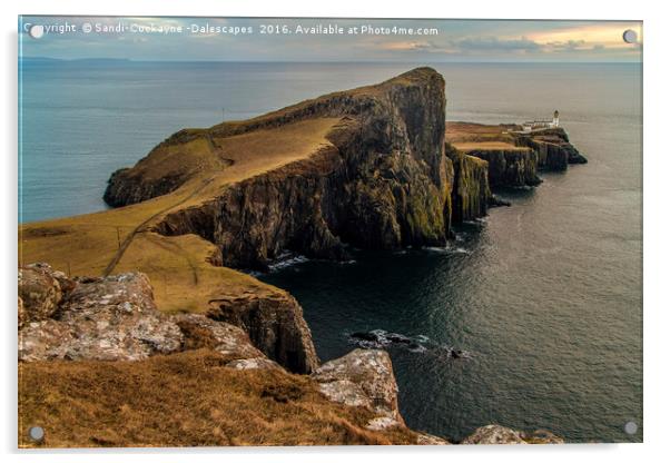 Neist Point, Isle Of Skye Acrylic by Sandi-Cockayne ADPS