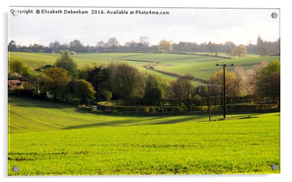 Fresh Green Corn across the Hills. (3x5 aspect) Acrylic by Elizabeth Debenham
