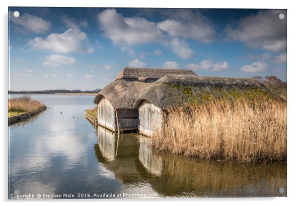 Thatched Boathouses at Hickling Broad Acrylic by Stephen Mole